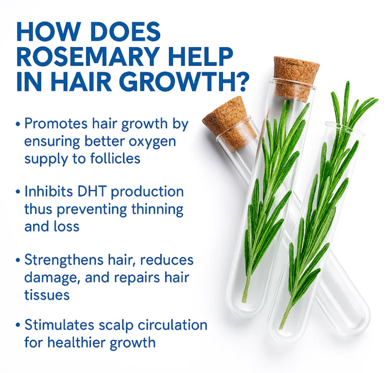 Quorra hair growth serum